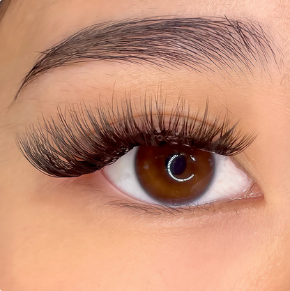 Magnetic Faux Mink Lashes Set